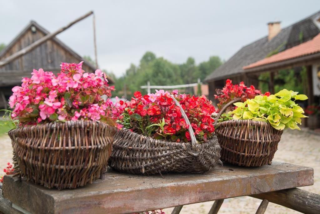 Gosciniec Folwark Nadawki Bed & Breakfast Sienkiewicze ภายนอก รูปภาพ